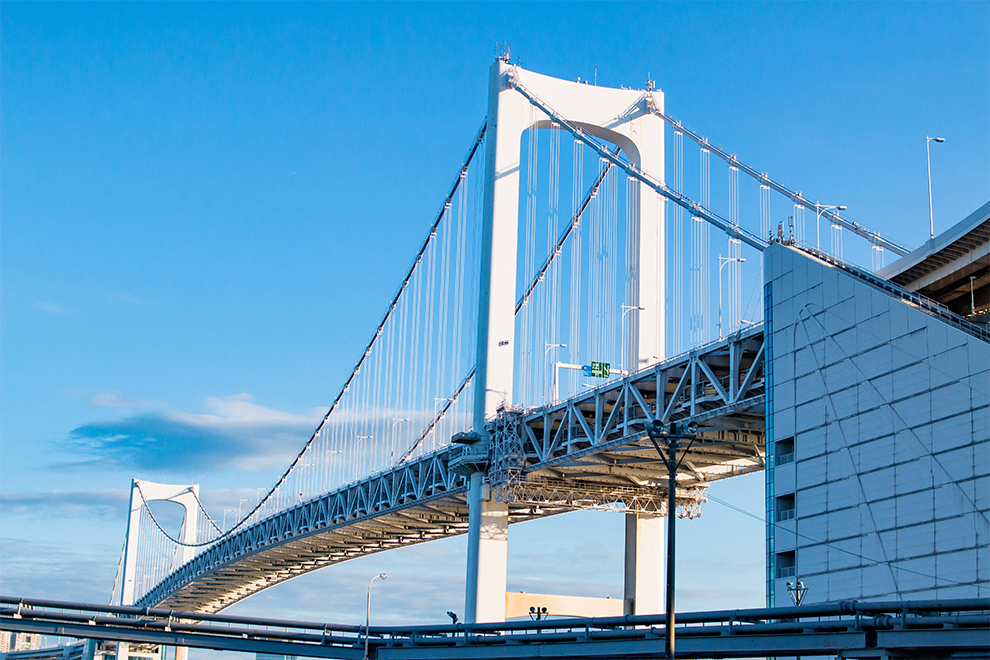 Steel Structures & Bridges