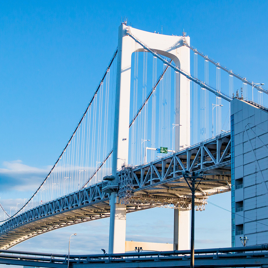 Steel Structures & Bridges