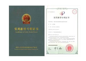 Un certificado de patente del dispositivo del sistema de entubado auxiliar gigante de la demostración de la fuente en forma de O