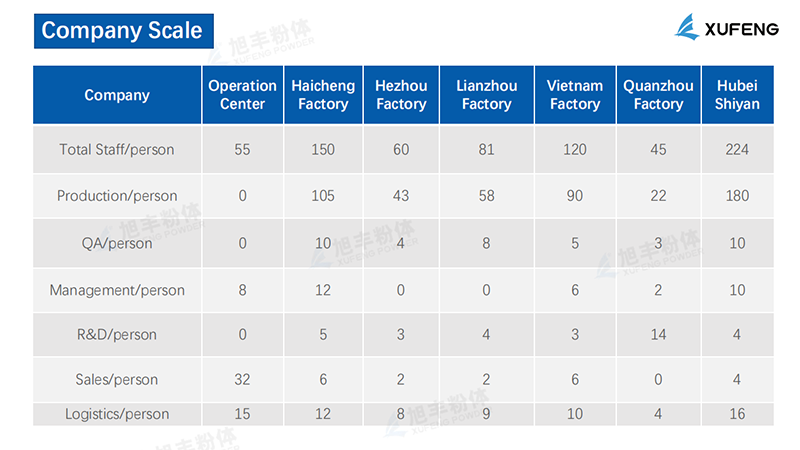 Company Scale.png