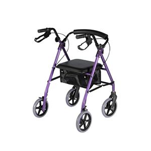 Disabled Lightweight Walker