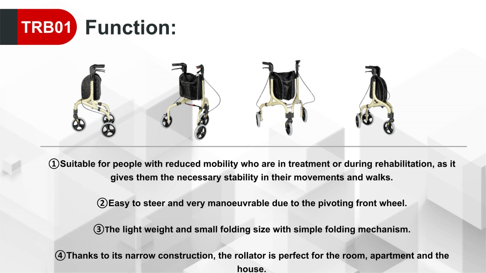 2019 New design Tri-walker TRB01