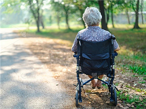 The Role of Rollators in Supporting Individuals with Walking Difficultie