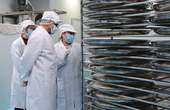 Customer visit-2019.12