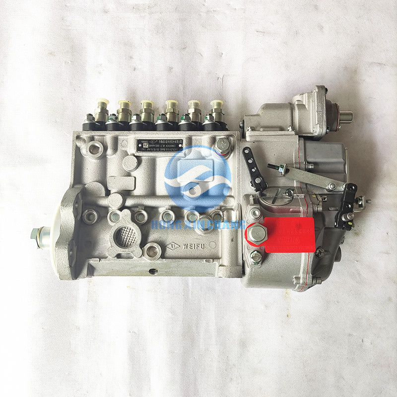 6L fuel injection pump 5265501