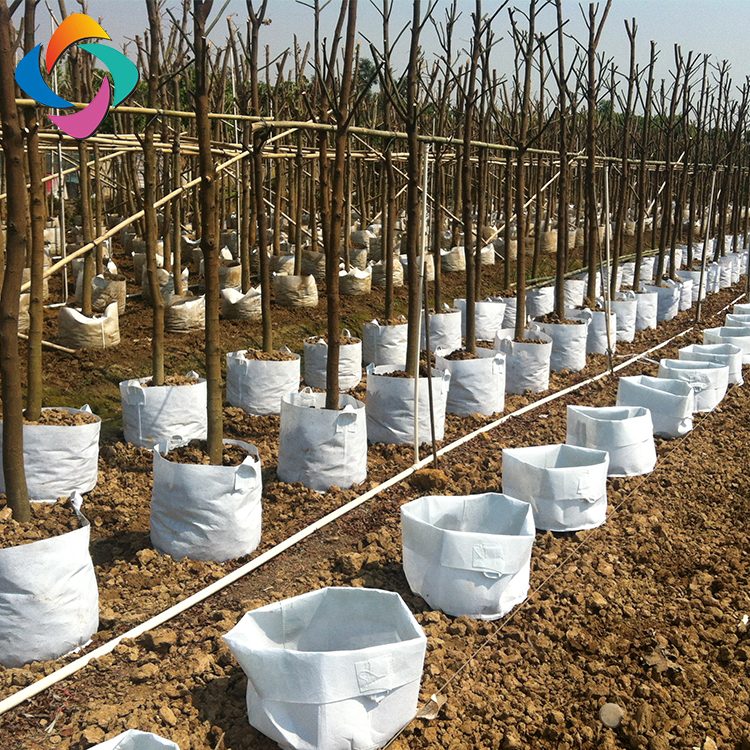 Supply Plant Grow Bags For Planting Trees Flowers Factory Quotes OEM