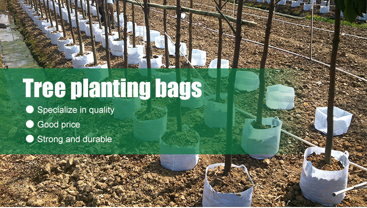 Supply Biodegradable Geotextile Planting Garden Fabric Bag Factory