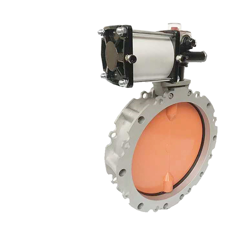 butterfly Valve