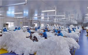 Garment factory Video