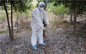 Introduction of EN ISO27065 coverall