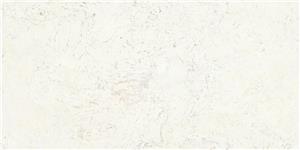 Losa de piedra de cuarzo blanco Bianco Carrara blanco