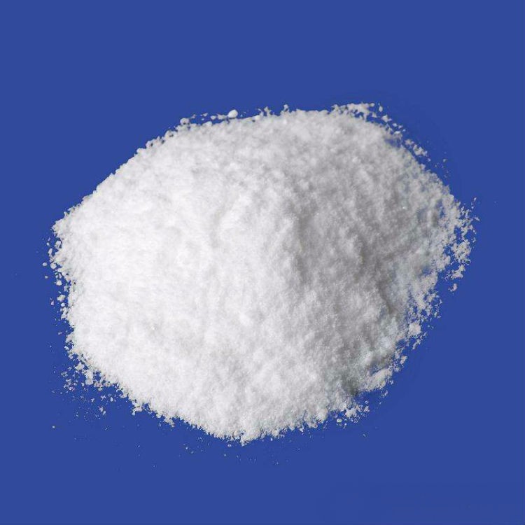 Terephthalic Acid PTA Powder CAS 100-21-0