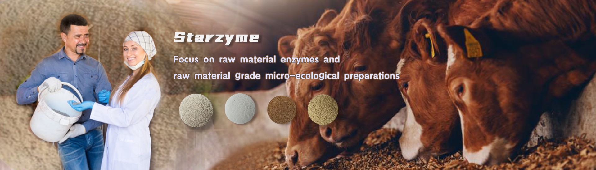 Thức ăn cho enzyme
