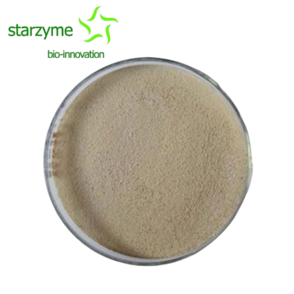 Comprar Clostridium Butyricum,Clostridium Butyricum Preço,Clostridium Butyricum   Marcas,Clostridium Butyricum Fabricante,Clostridium Butyricum Mercado,Clostridium Butyricum Companhia,