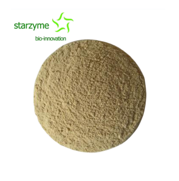 Bacillus amyloliquefaciens