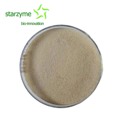 Bacillus coagulans