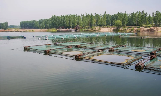 aquaculture