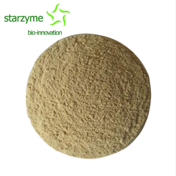 Enterococcus faecalis