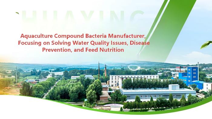 The Impact of Bacillus subtilis on Aquatic Animals