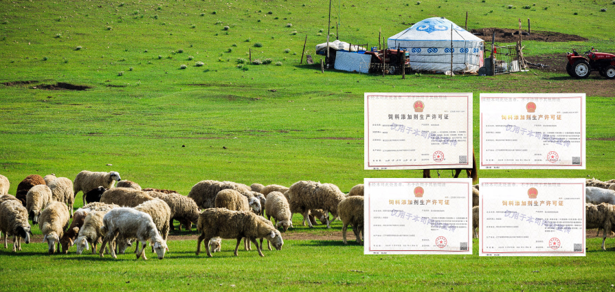 Application of Bacillus subtilis in Animal Feed Production