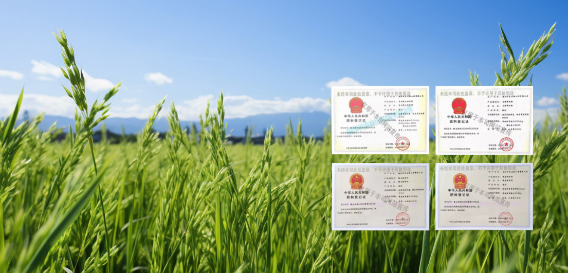 Bacillus subtilis: Functional Applications in Agricultural Cultivation