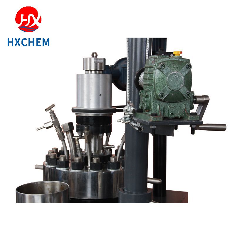 Magnetic Couplings Drive For Pilot High Pressure Reaction