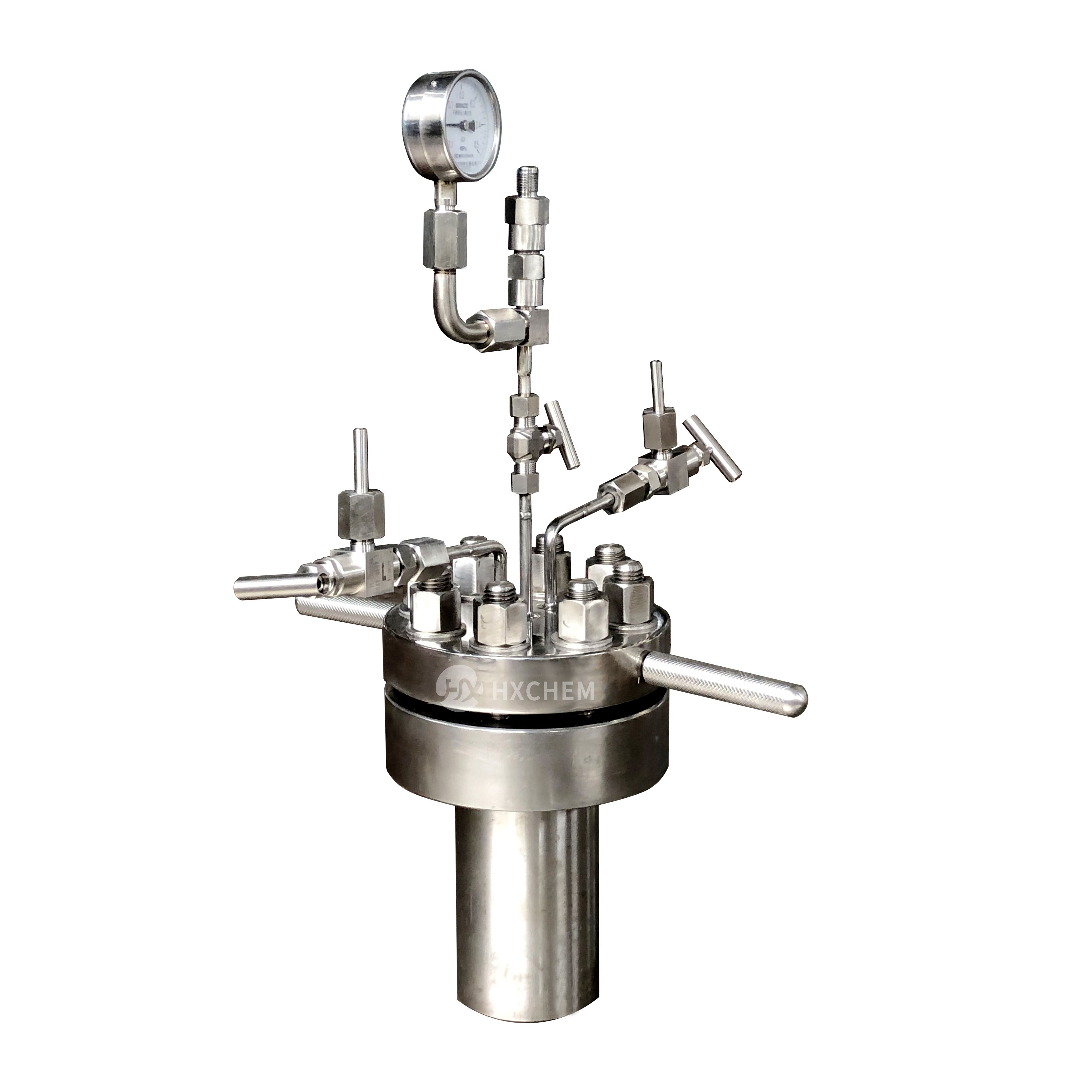 Lab pressure autoclave reactor vessels