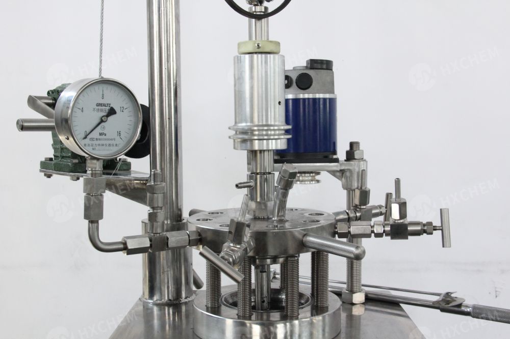 Esportazione di reattore agitato a pressione da laboratorio Hastelloy C276 a sollevamento manuale da 2 litri in Russia