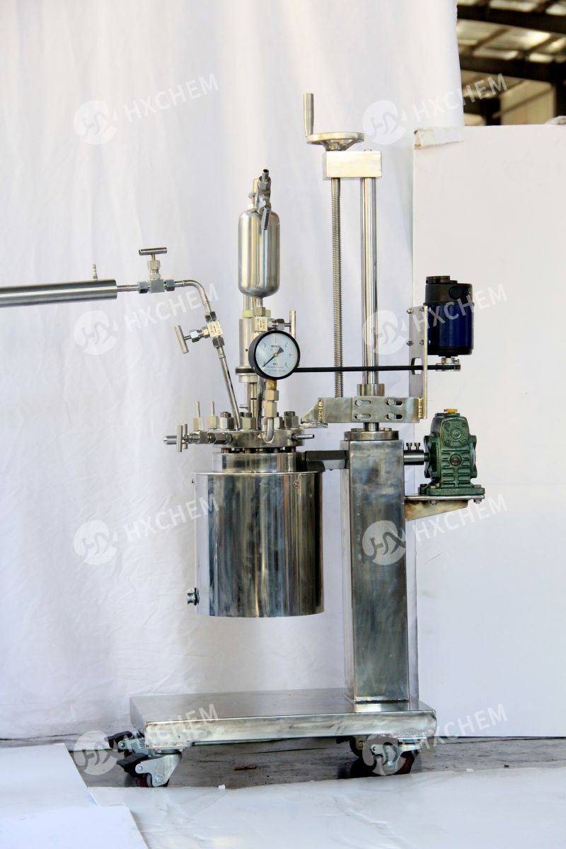 Stirred pressure reactor