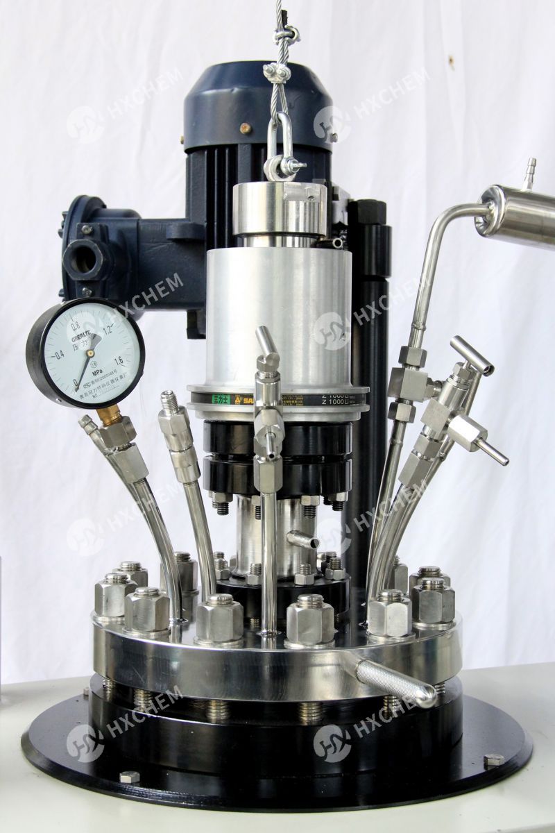 High viscosity polimerization reactor
