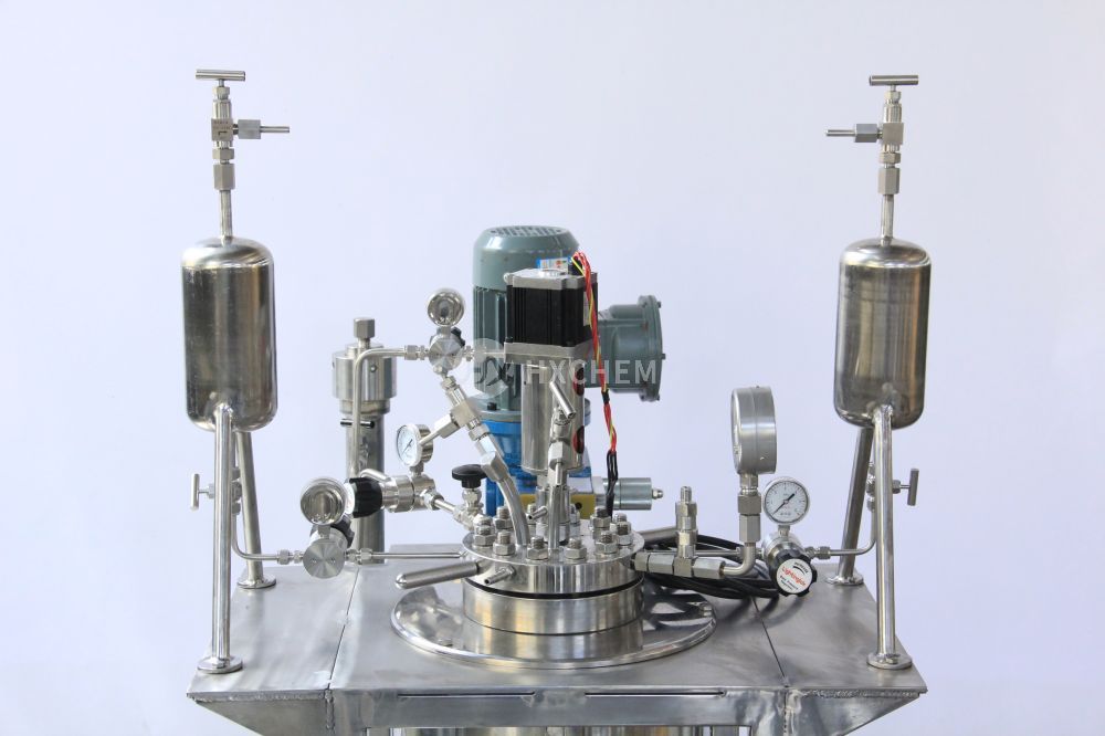 Laboratory Loop pressure reactors