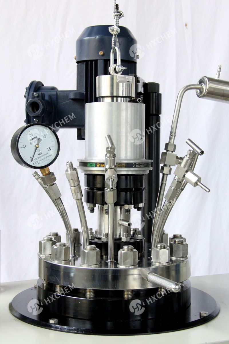 lab polymer reactor