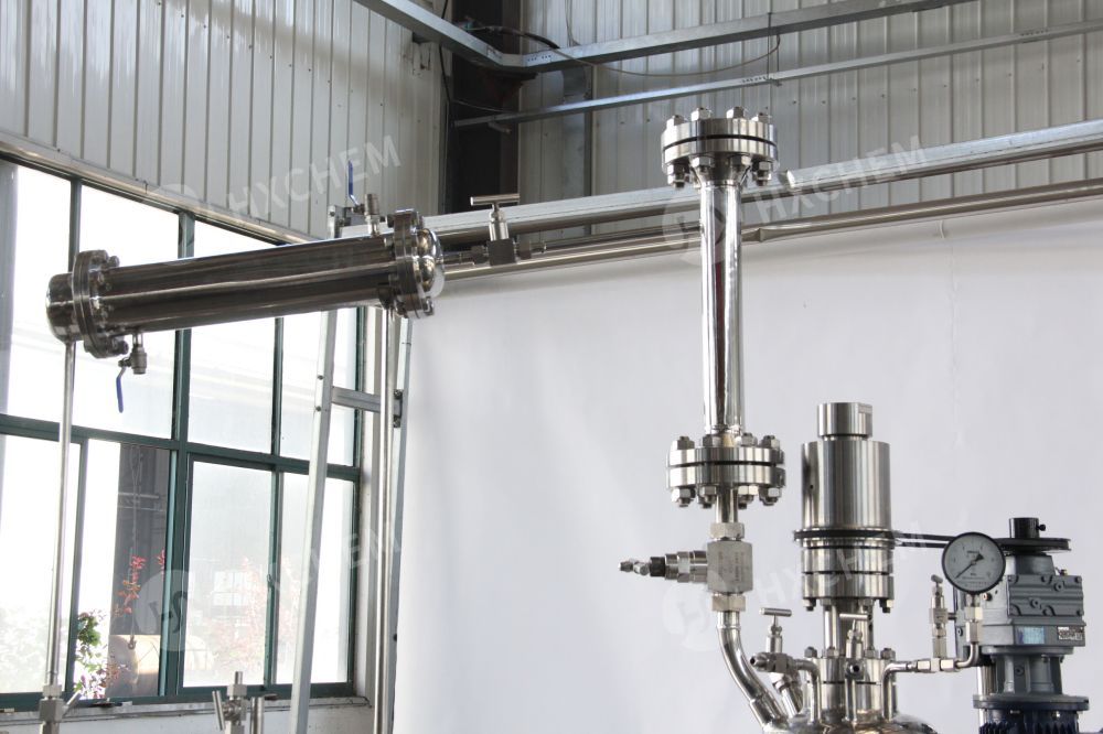 Pilot polimerization plant