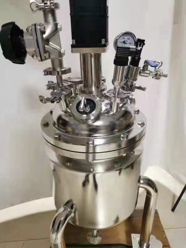 10L stainless steel reactor