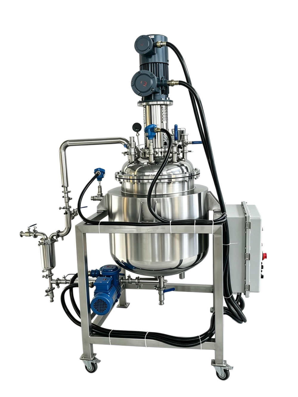 stainless steel reactor