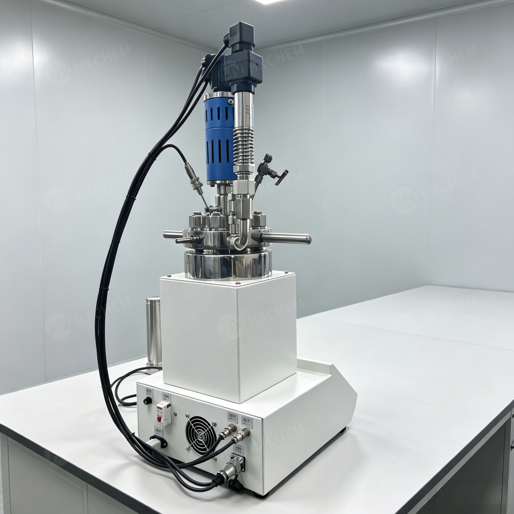 Lab scale pressure reactor