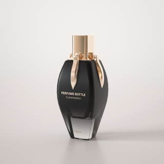 100ml 3.4oz Exotic Luxury Novel Refillable Glass Perfume Bottle