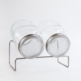 Bocal en verre rond transparent de décoration de maçon de 1 L avec couvercles de pot de germination pour la germination