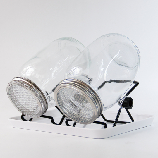 1L Wide Mouth Mason Sprout Jar dengan Kit Tutup Tumbuh