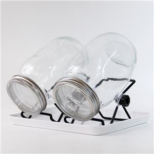 1L Wide Mouth Mason Sprout Jar with Sprouting Lids Kit