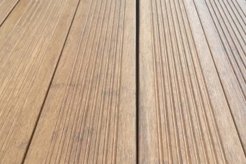 대나무란 무엇인가?