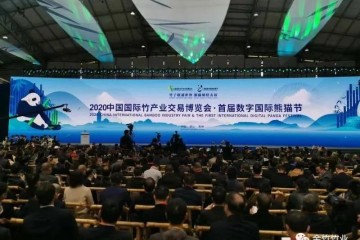 Teilnahme an der Bamboo Expo 2020 • Das erste digitale internationale Panda-Festival