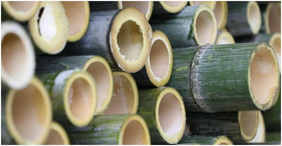 bamboo flooring