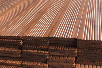 O bambu Moso morre após ser colhido?