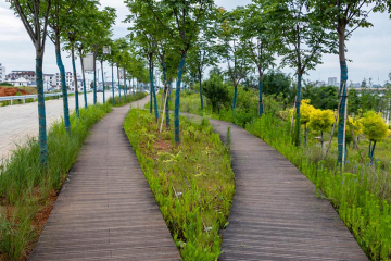 Quais são os problemas comuns dos decks de bambu?