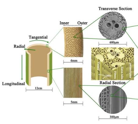 environmentally friendly bamboo floor