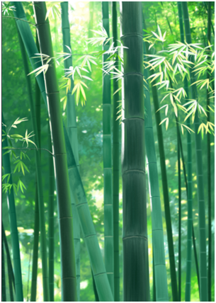 renewable bamboo resource