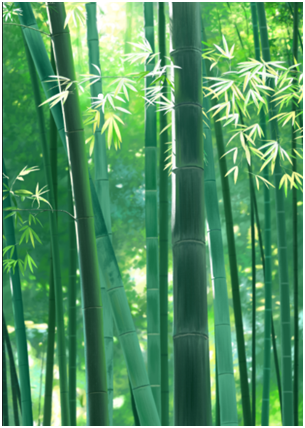 How Does Bamboo Adapt to Climate Change?