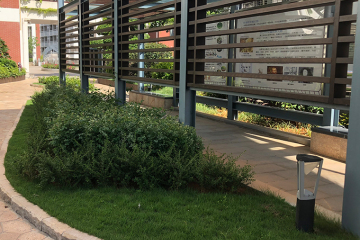 La creciente popularidad de las vallas de bambú