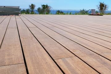 대나무는 나무와 같나요?